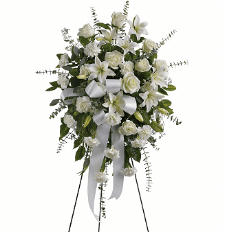 Sentiments of Serenity Spray