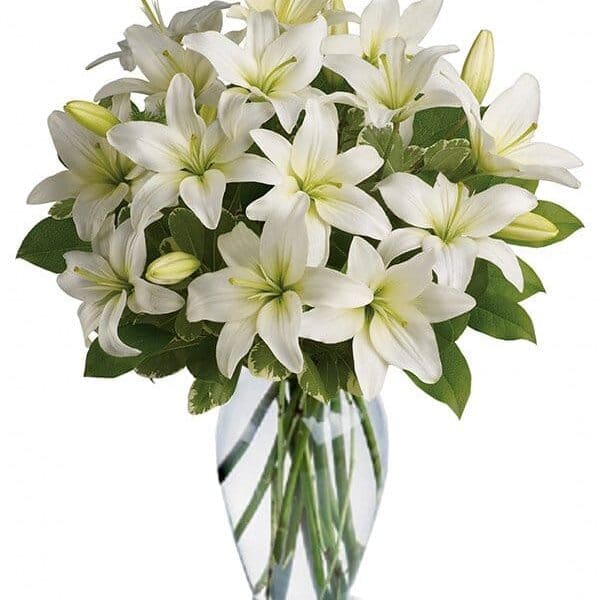 Designer Sympathy Collection III