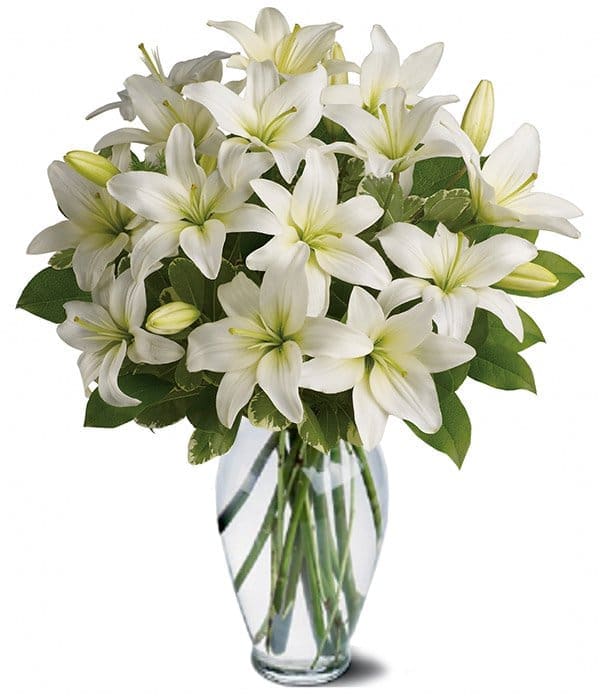 Designer Sympathy Collection III