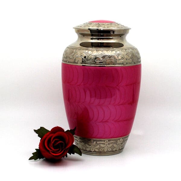 Pink with Silver Trim