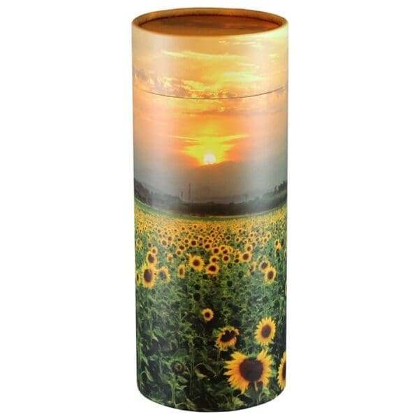 Sunflowers Field Scattering Tube (Adult 12.5")