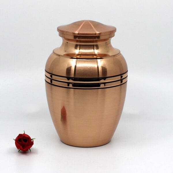 Rose Gold with Black 3-Trim