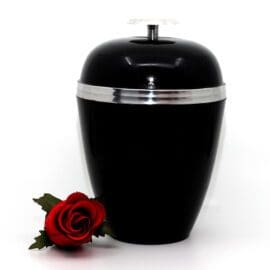 Black | Silver Trim - 03-2497 (FINAL SALE)