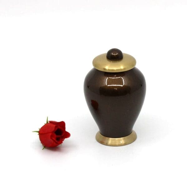 Memento | Gloss Brown & Gold - 06-8403