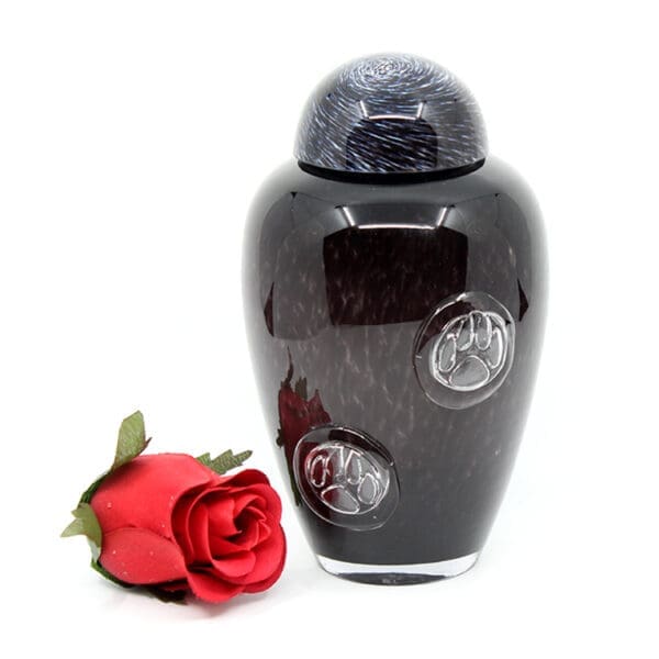 Keepsake | Glass - Black Paws