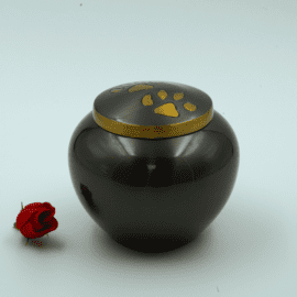 Pewter with Gold Paws