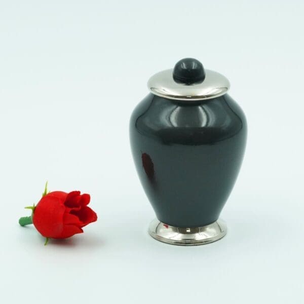 Gloss Midnight & Silver