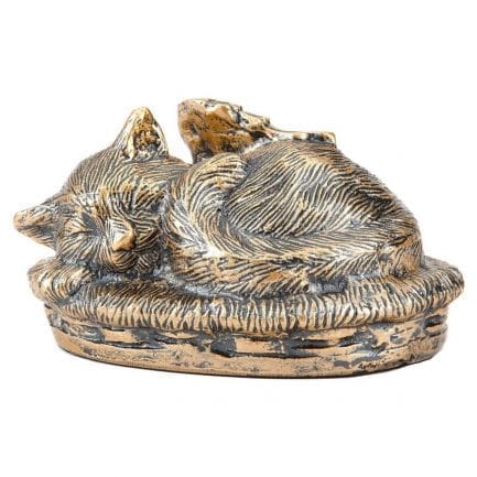 Sleeping Angelic Cat