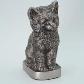 Silver Sitting Kitten