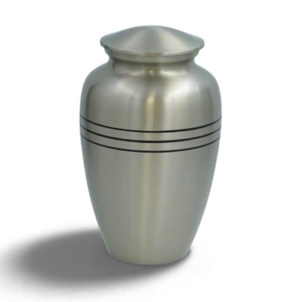 Silver with Black Trim