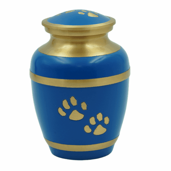 Blue & Gold Paw Prints