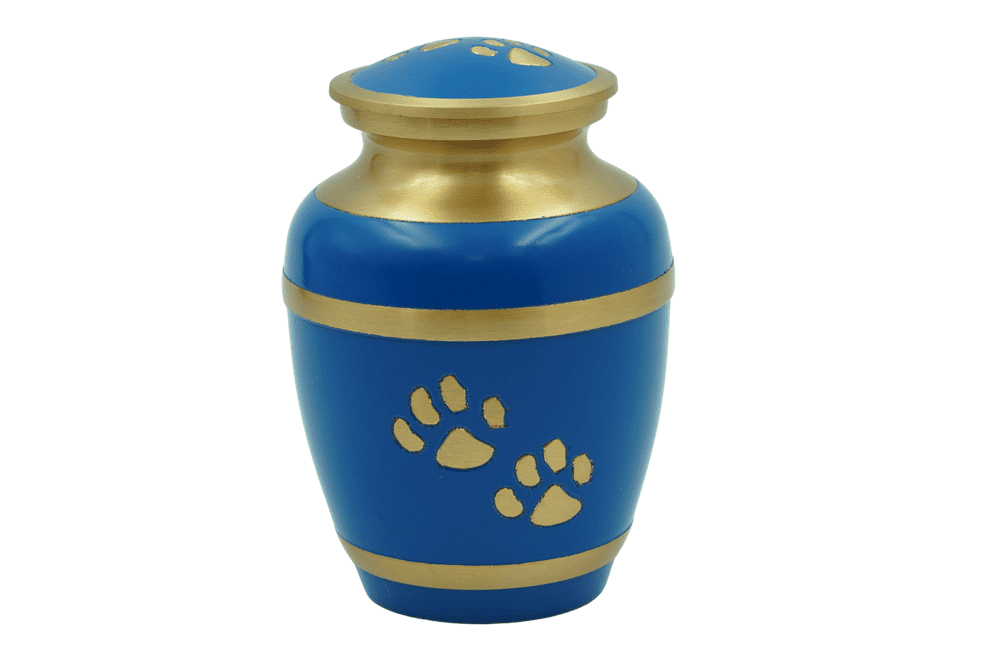 Blue & Gold Paw Prints