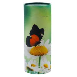 Butterfly Scattering Tube (Adult 12.5