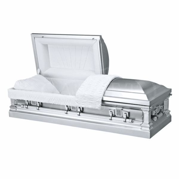 Kingston Platinum | Stainless Steel Casket