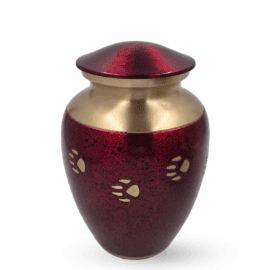 Red & Gold Paw Prints