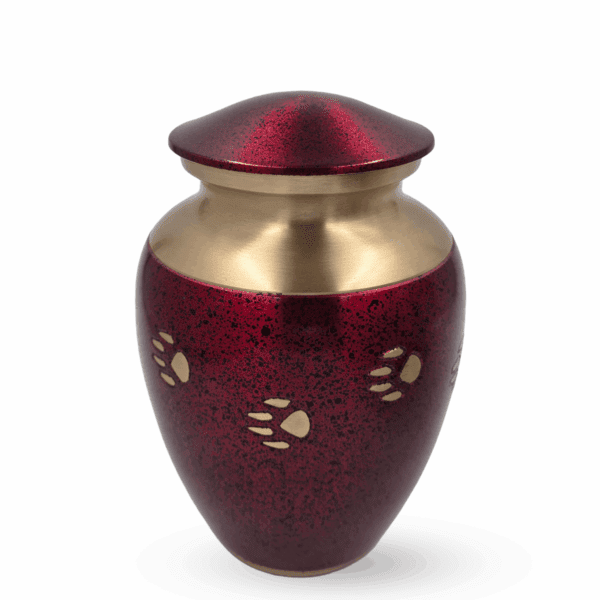 Red & Gold Paw Prints