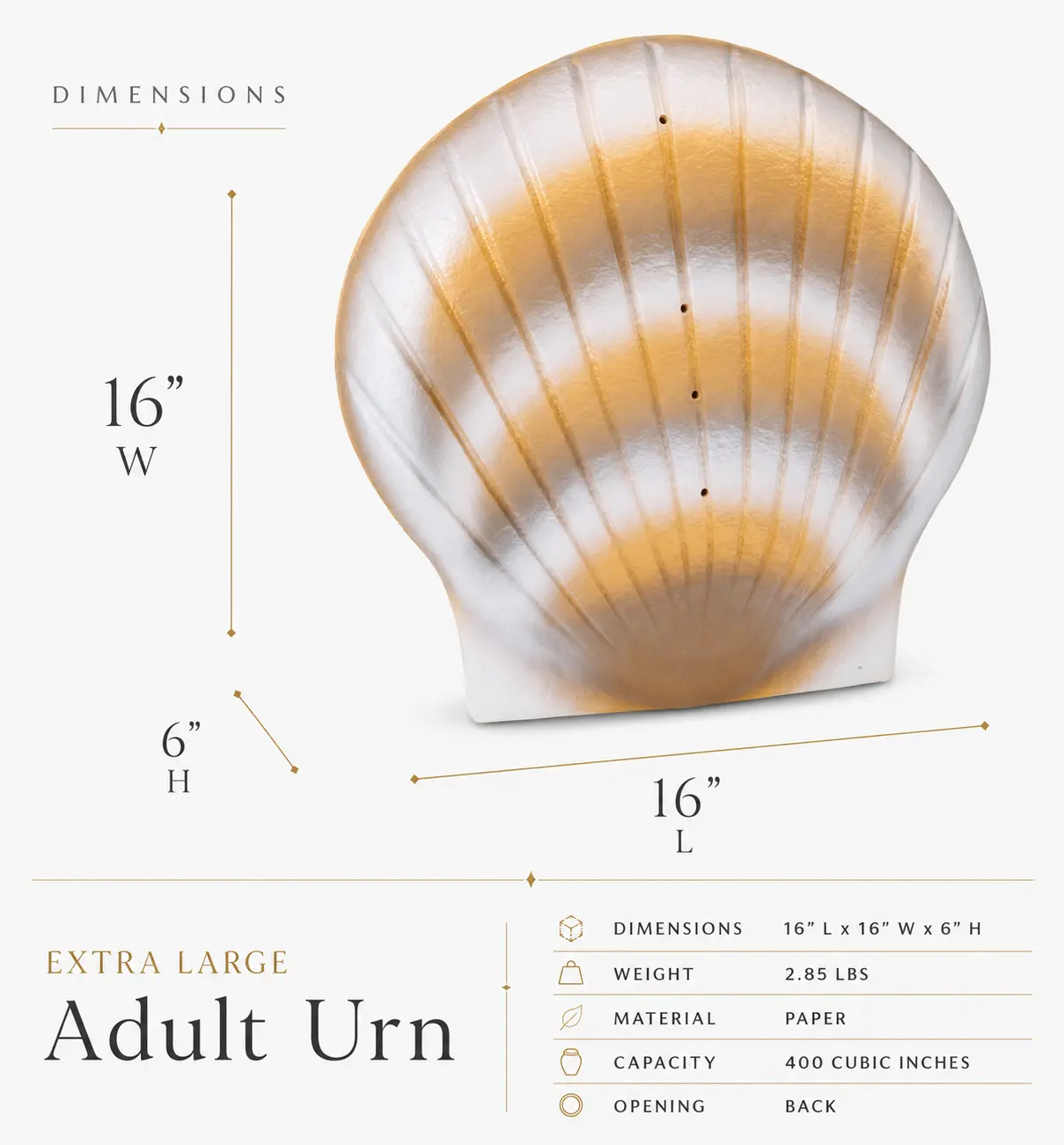 Biodegradable Shell Urn - Pearl - Image 4